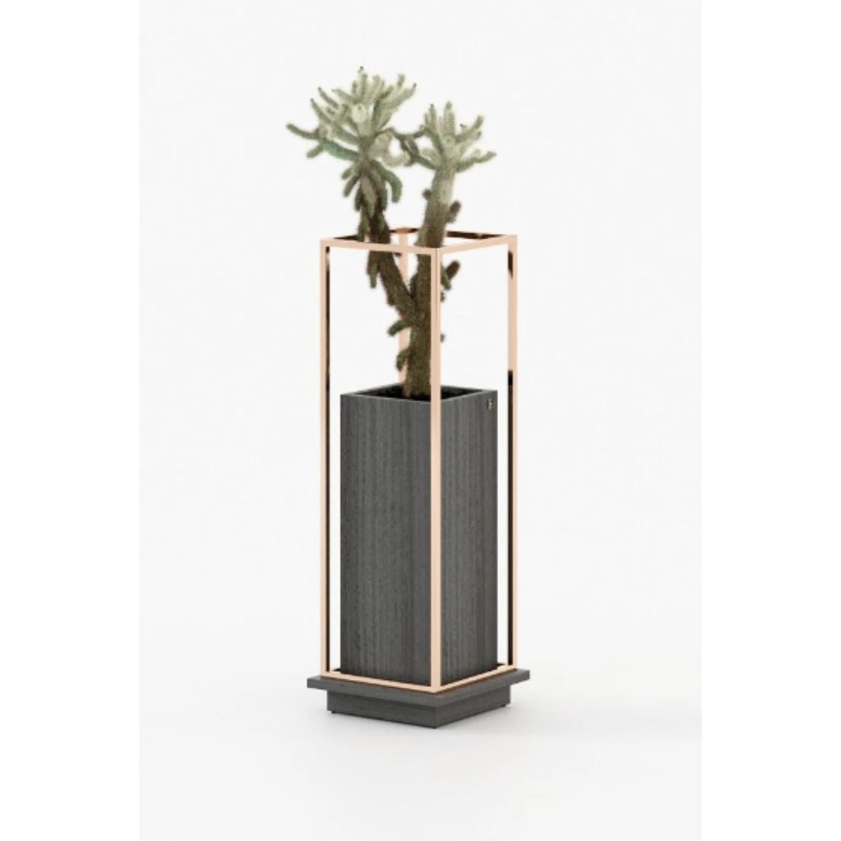 LASKASAS | LANIE FLOWER POT | ,665.00 – ,765.00