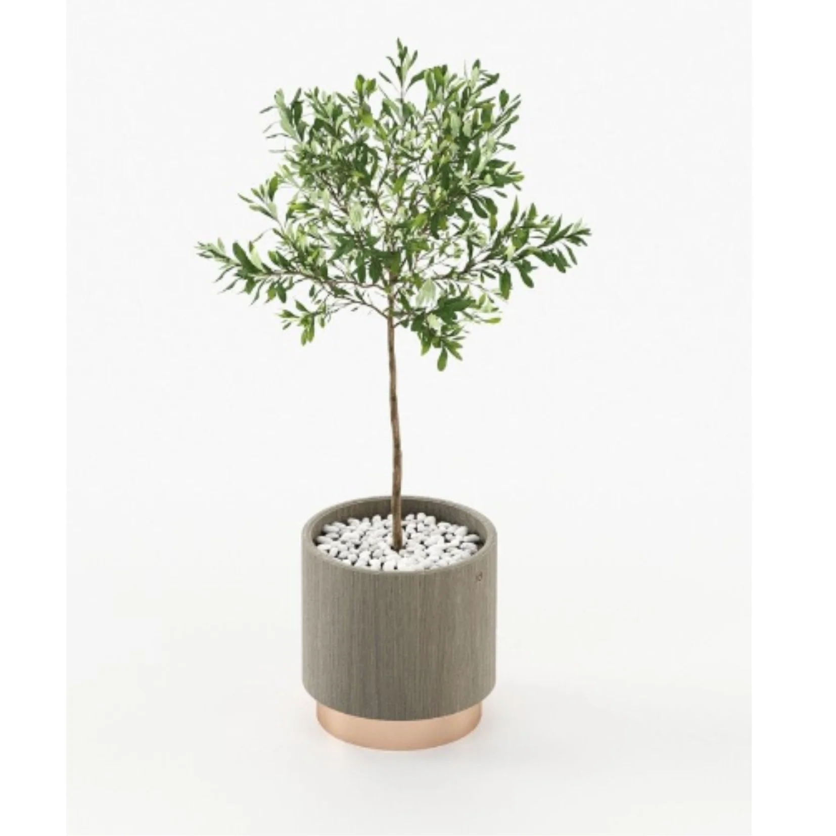 GOLD LITTLE FLOWER POT | ,745.00 – ,985.00