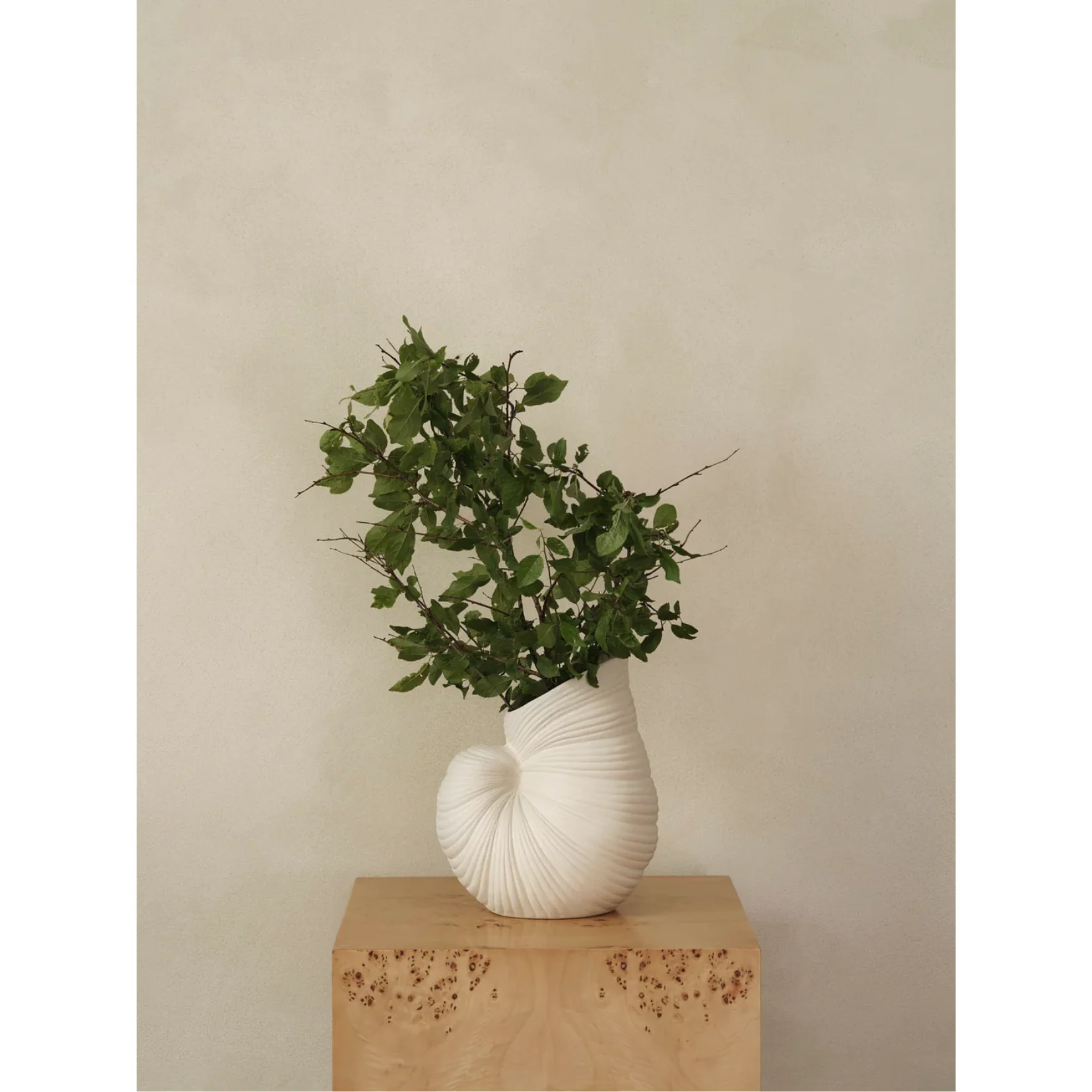 FERM LIVING | SHELL POT | $115.00 - $145.00 - Image 3
