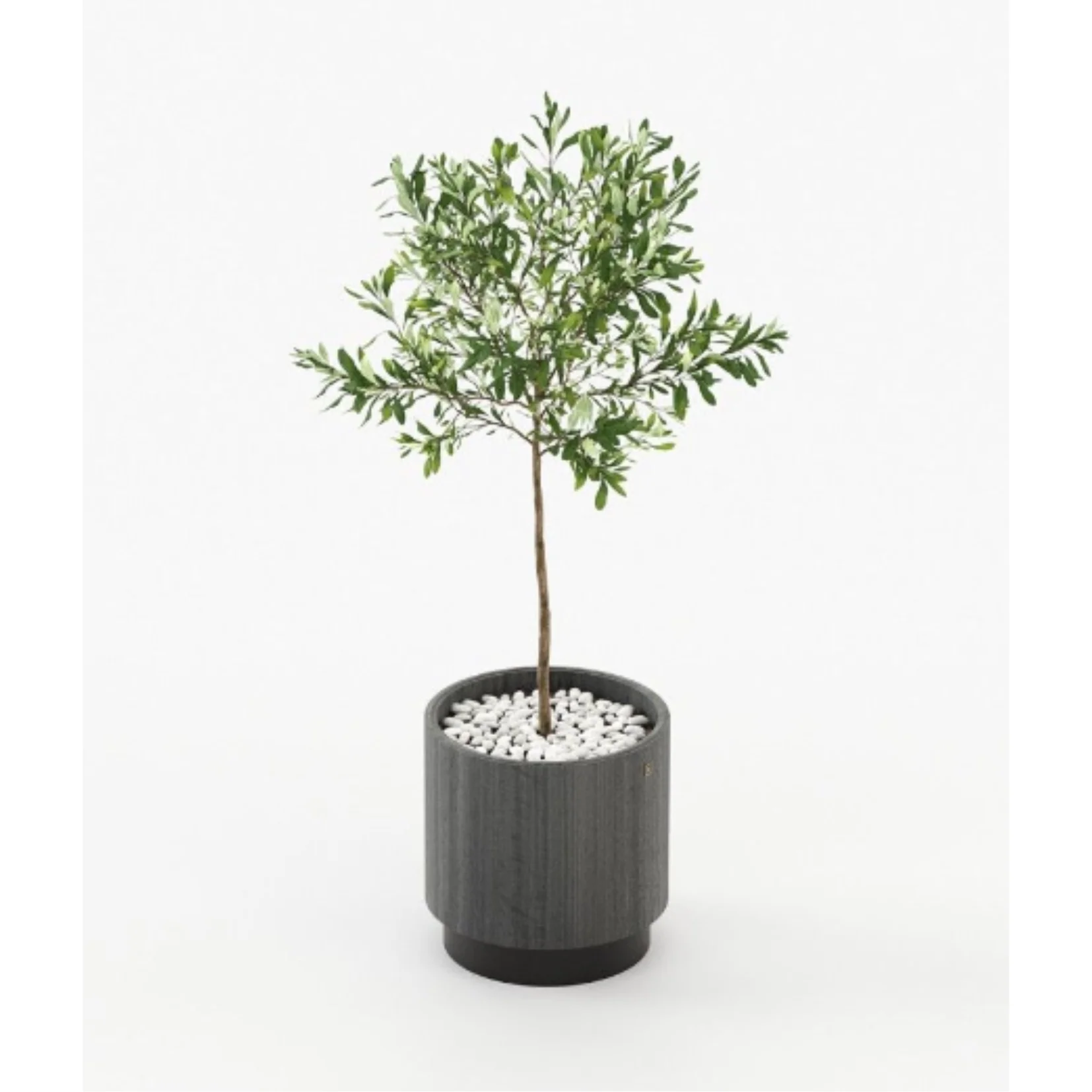 GOLD LITTLE FLOWER POT | $2,745.00 - $2,985.00 - Image 2