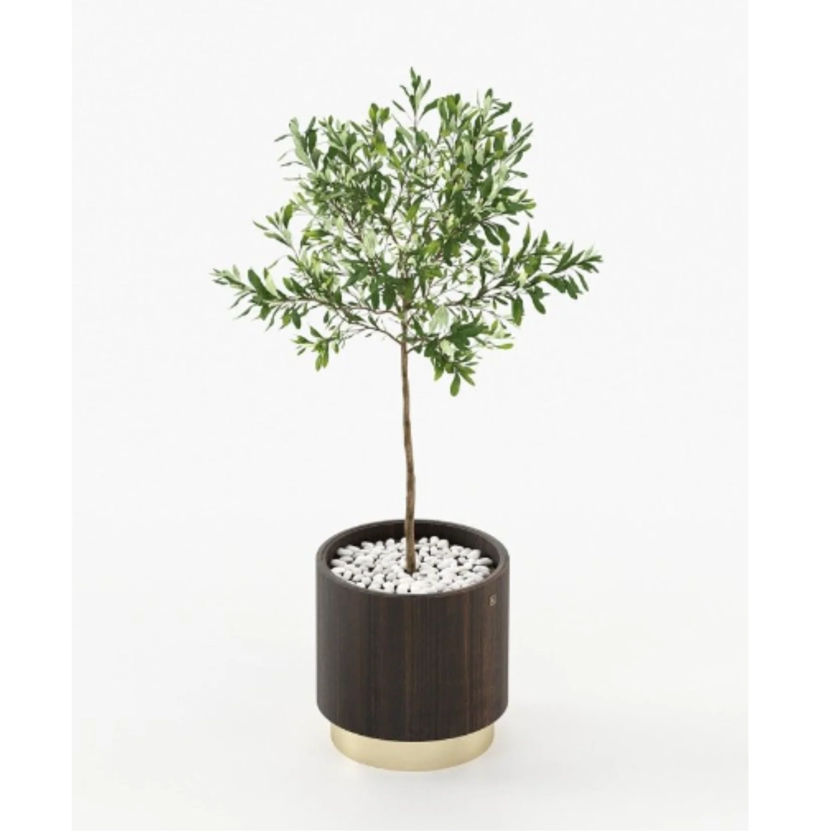 GOLD LITTLE FLOWER POT | $2,745.00 - $2,985.00 - Image 3