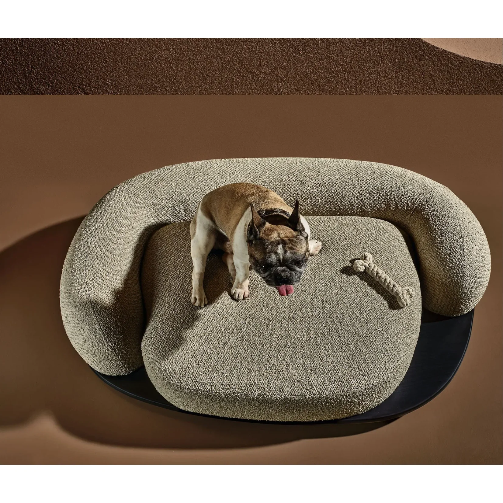DUNE DOG BED | $3,922.00 - Image 3