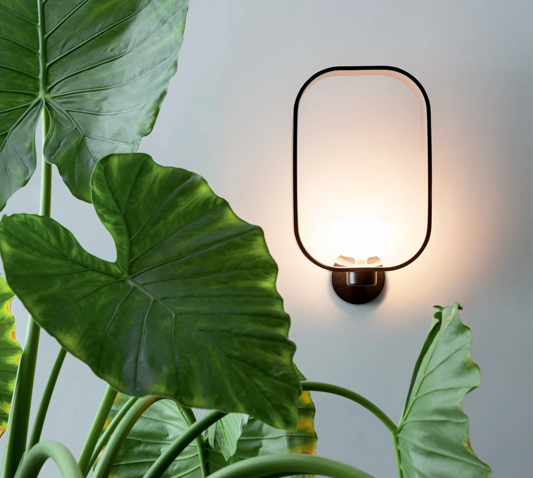 FILIPA WALL LIGHT 555.41 BY TOOY from $1,480.00 - Image 2