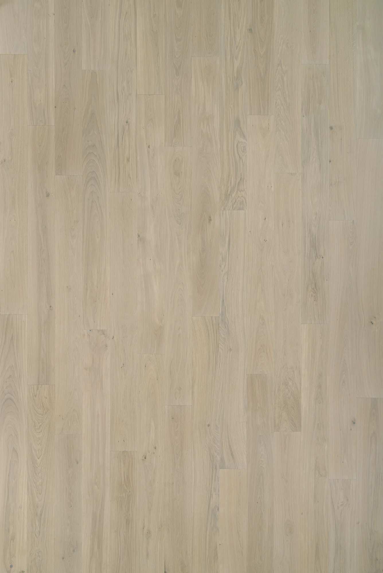 MA10 ROVERE OAK | Hardwood Flooring - $15.53 - $26.77 - Image 3