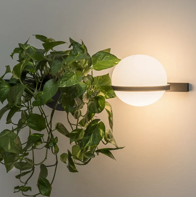 VIBIA | PALMA WALL | from $3,000.00 - Image 2