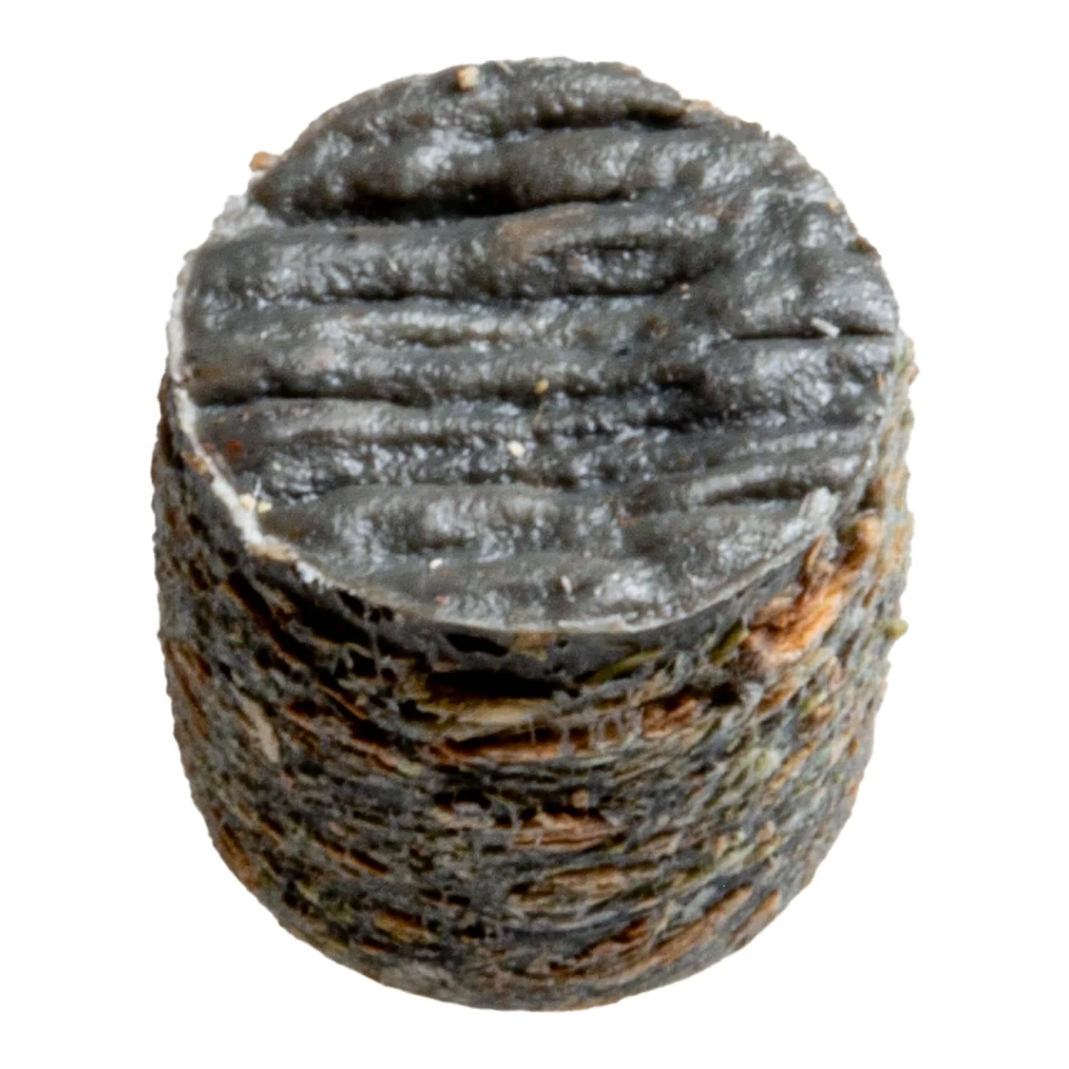 Simpson Strong-Tie TRX100IM Deck-Drive DCU Screw Plug,  Trex Island Mist, 375-Pack - Image 2