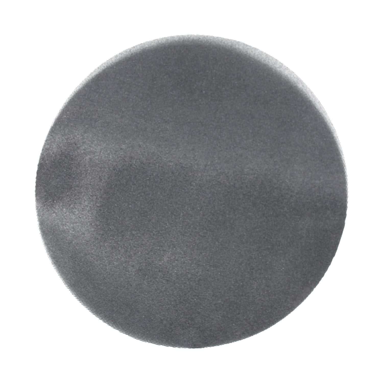Avanti PCE170060E01G 17 in. 60 Grit Sanding Screen