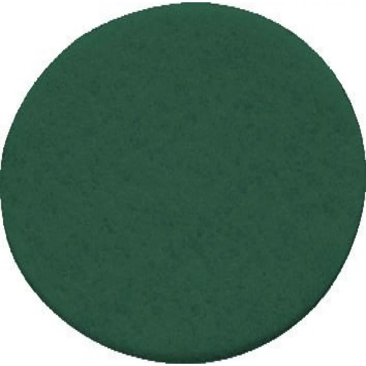 Festool 496508 Vlies, Green for 150 mm (6″) Sanders, 10 Pack