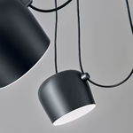 FLOS | AIM MULTI PENDANT LIGHT | $5,320.00 - $11,600.00 - Image 2